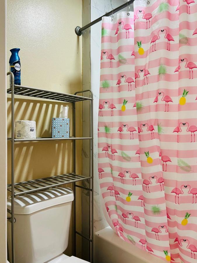 Apartment Near Tpa Airport Tampa Luaran gambar